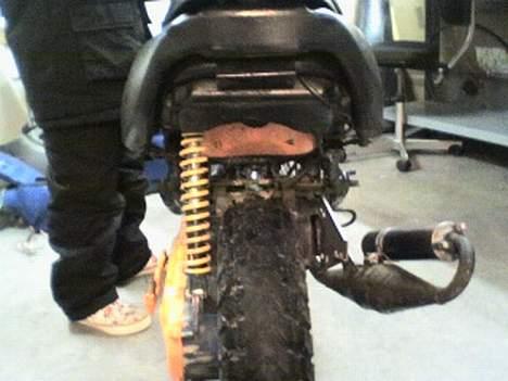 Benelli 491 GT (SOLGT) billede 9