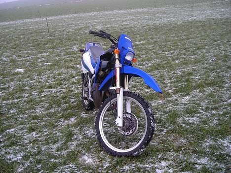 Suzuki rmx #før reloaded# billede 9