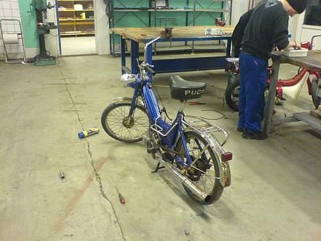 Puch Maxi K (byttet t/ trilet) billede 14