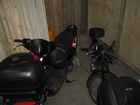 Puch Maxi solgt - Min maxi  billede 1