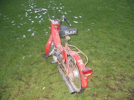 Puch Maxi-k byttet billede 4