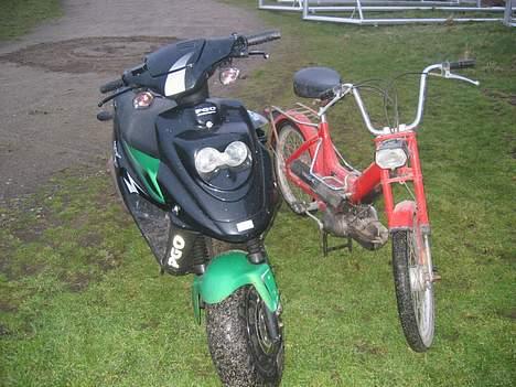 Puch Maxi-k byttet billede 5