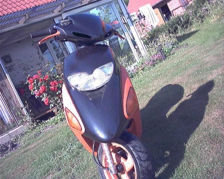 Honda SFX Repsol billede 1