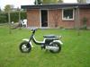 Suzuki fz50