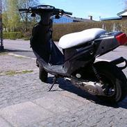 PGO Hot 50  >Team Nemesis<