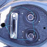 PGO Hot 50  >Team Nemesis<