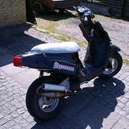 PGO Hot 50  >Team Nemesis<