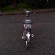 Honda wallaroo (Solgt)