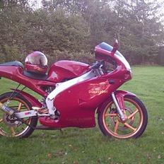 Aprilia Rs 50 (Ducati)