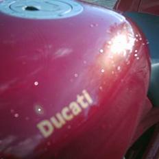 Aprilia Rs 50 (Ducati)