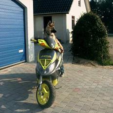 Piaggio nrg
