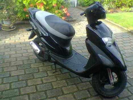 Honda SFX - Fra højre billede 6