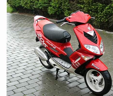 Peugeot Speedfight 206 WRC  billede 1