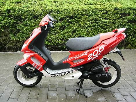 Peugeot Speedfight 206 WRC  billede 3