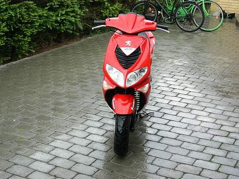 Peugeot Speedfight 206 WRC  billede 4