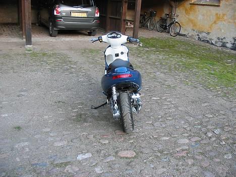 Benelli 491 SOLGT billede 4