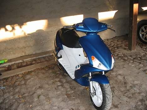 Benelli 491 SOLGT billede 7