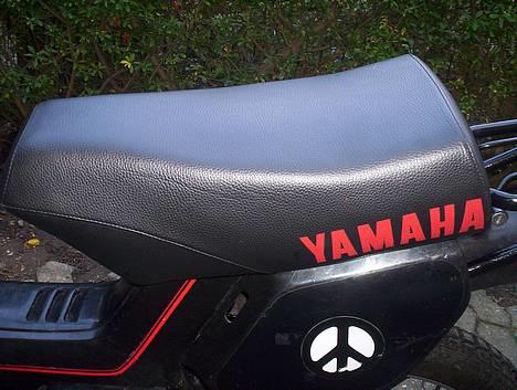 Yamaha Sting-solgt *Team GGTB* billede 4