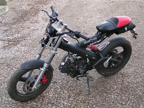 Sachs madass - Dejlig billede 1