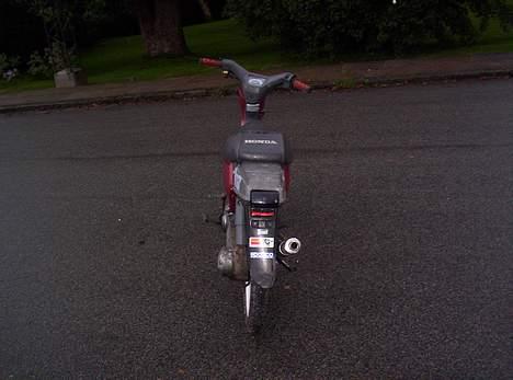 Honda wallaroo (Solgt) billede 3