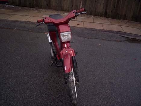 Honda wallaroo (Solgt) billede 4