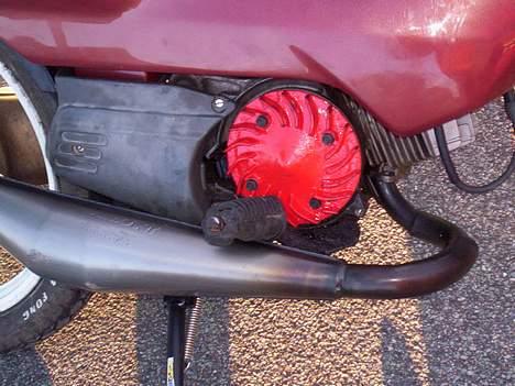 Honda wallaroo (Solgt) billede 9