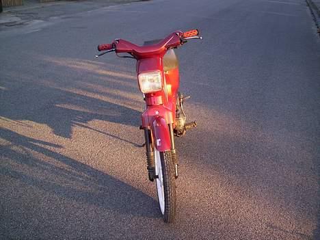 Honda wallaroo (Solgt) billede 10