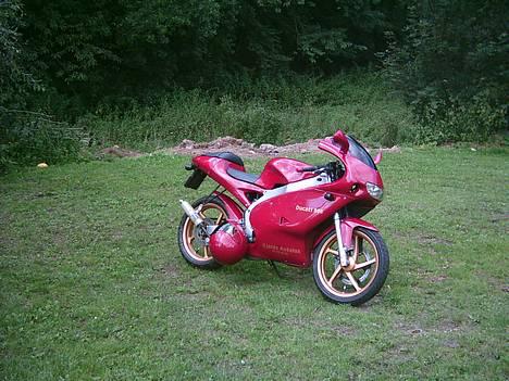 Aprilia Rs 50 (Ducati) billede 9