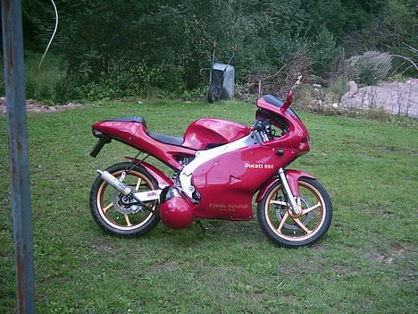 Aprilia Rs 50 (Ducati) billede 8