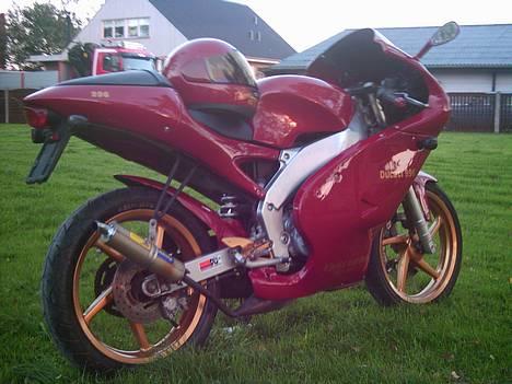 Aprilia Rs 50 (Ducati) billede 7