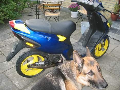 Piaggio NRG MC3 - "Hunden bider" ;) billede 2
