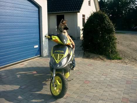 Piaggio nrg billede 1