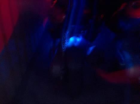 Aprilia Sonic billede 9