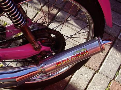 Puch Maxi KL ( Solgt! ) billede 5