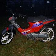 Honda wallaroo SOLGT