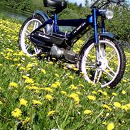 Puch Maxi K >>The Blue Pearl<<