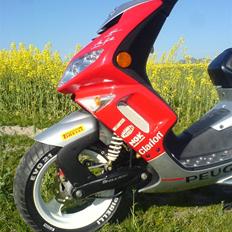 Peugeot Speedfight2 Rally V. 