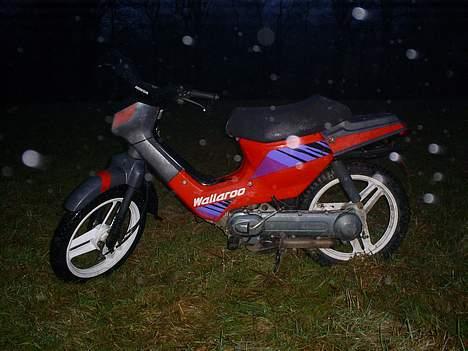 Honda wallaroo SOLGT billede 2