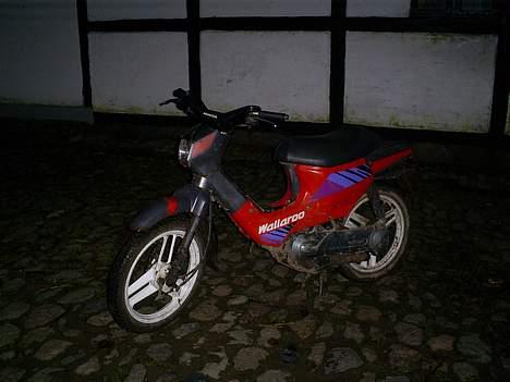 Honda wallaroo SOLGT billede 3