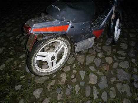 Honda wallaroo SOLGT billede 6