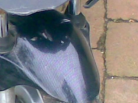 PGO tornado (byttet) billede 5