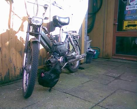 Puch Maxi K billede 4