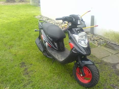 PGO hot50 billede 11