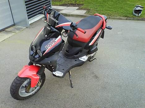 PGO PMX sport (Solgt) billede 12