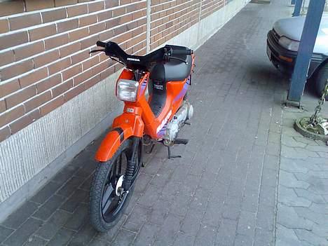 Honda wallaroo (solgt) billede 7