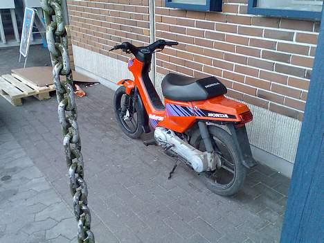 Honda wallaroo (solgt) billede 8