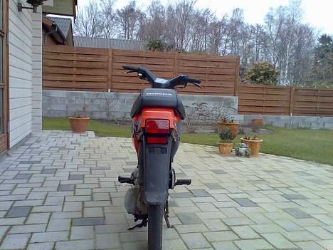 Honda wallaroo (solgt) billede 9