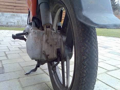 Honda wallaroo (solgt) billede 10