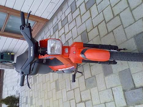 Honda wallaroo (solgt) billede 11