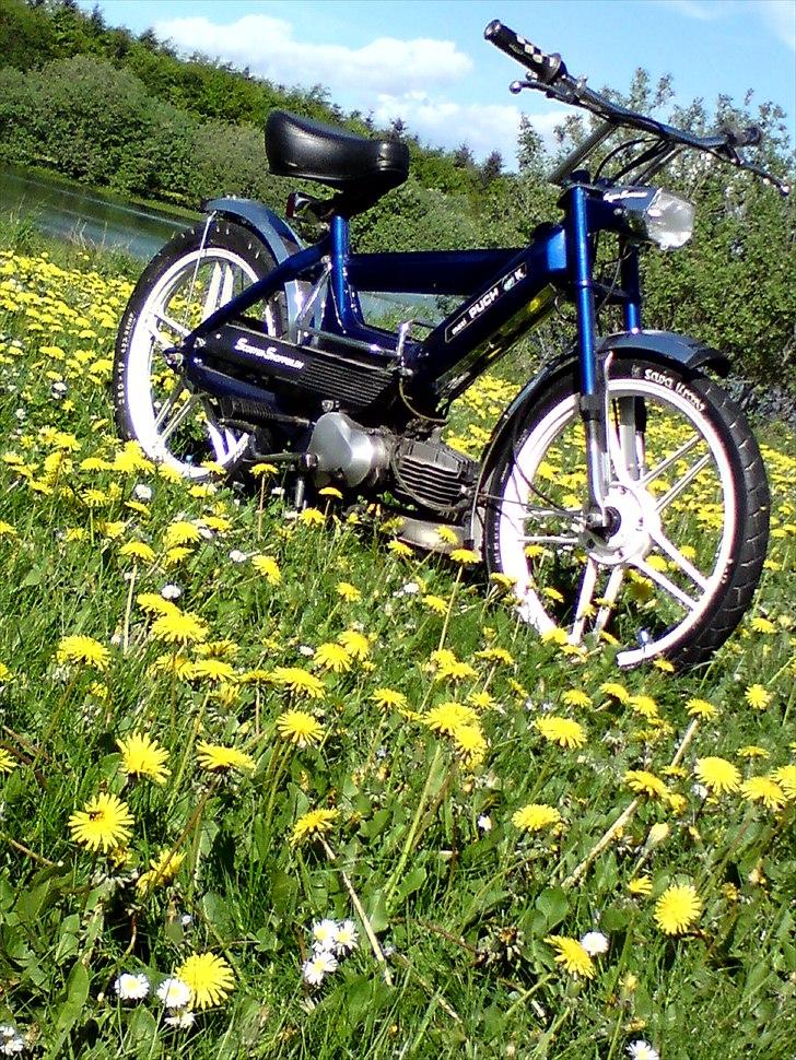 Puch Maxi K >>The Blue Pearl<< - Lige blevet malet billede 1